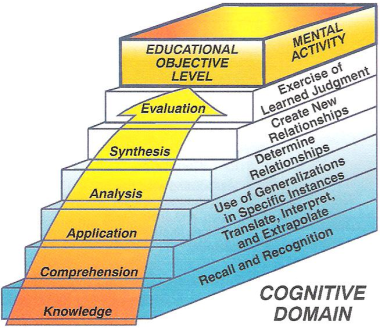 Cognitive Domain
