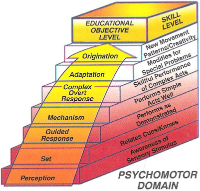 Psychomotor Domain